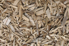 biomass boilers Kinloid